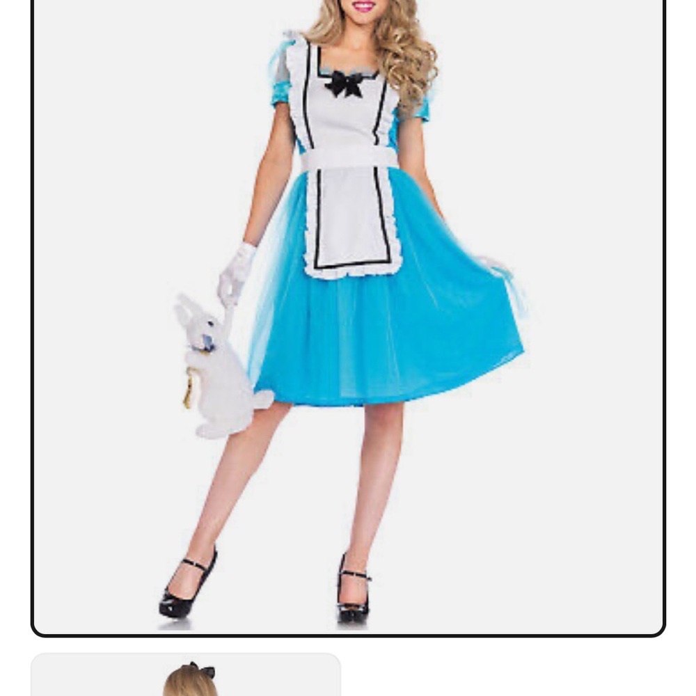 Classic Alice in Wonderland Adult Costume OR Maid Costume